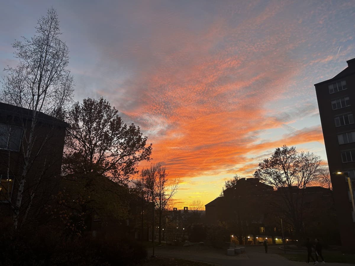 Ithaca, New York, United States