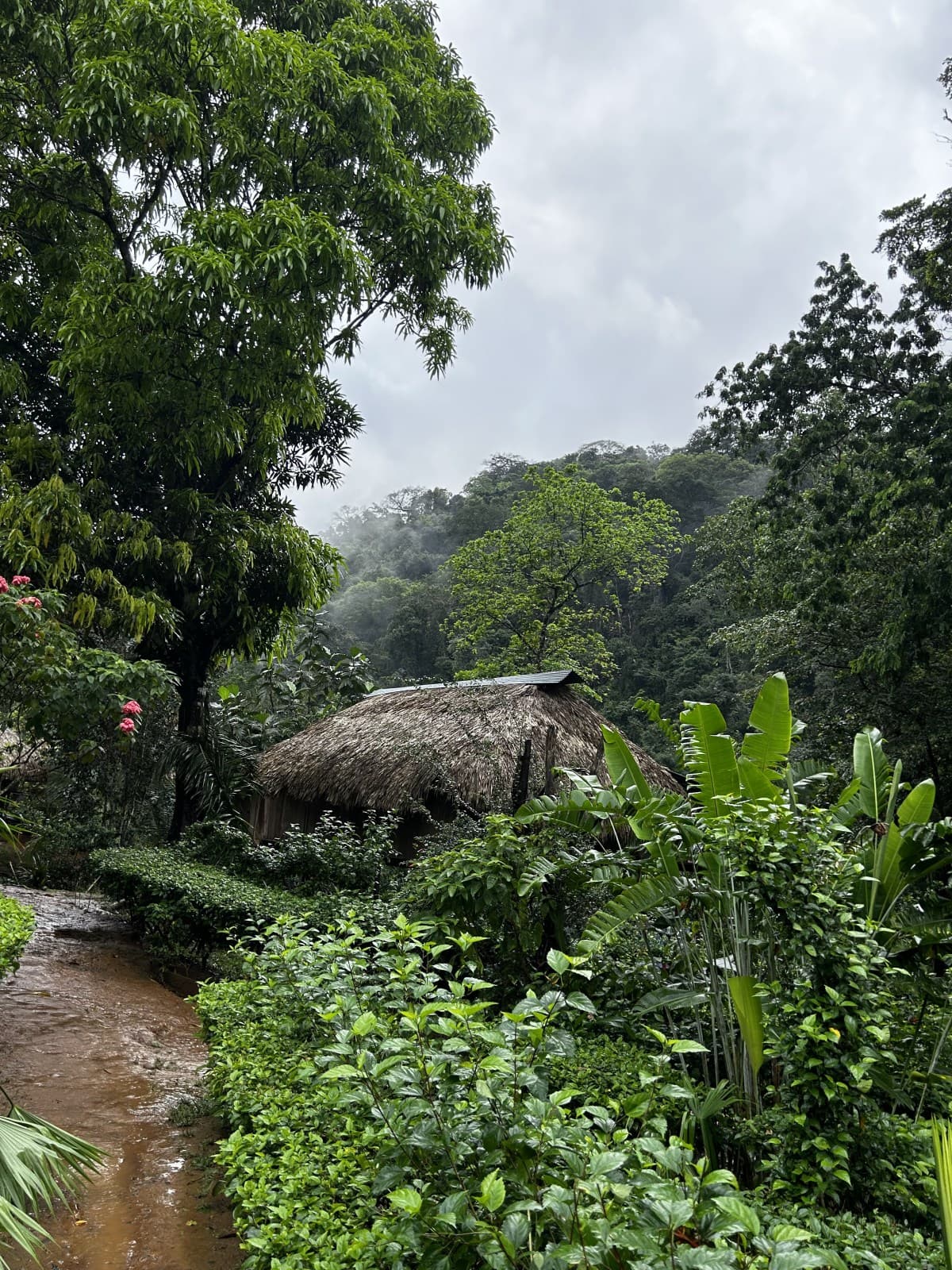 Embera Village, Panama