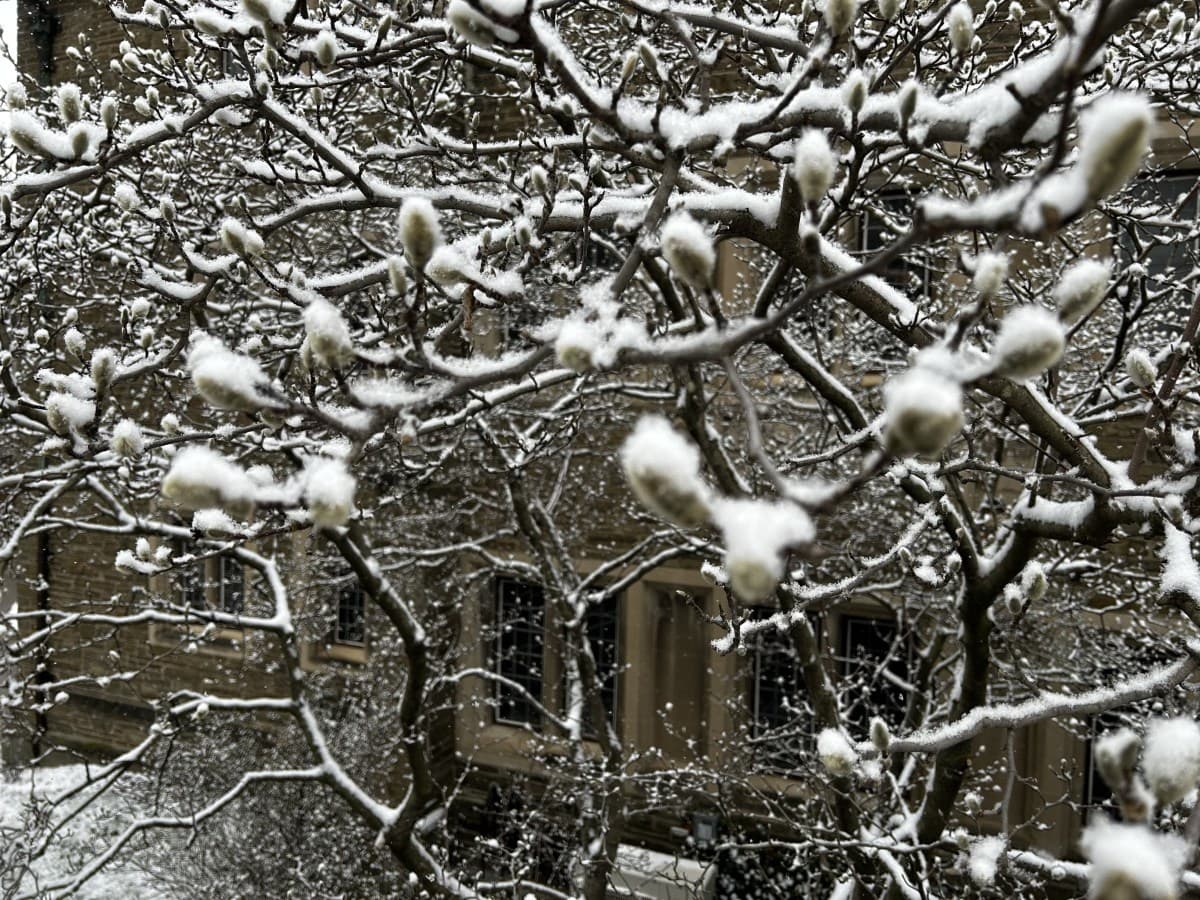 Ithaca, New York, United States