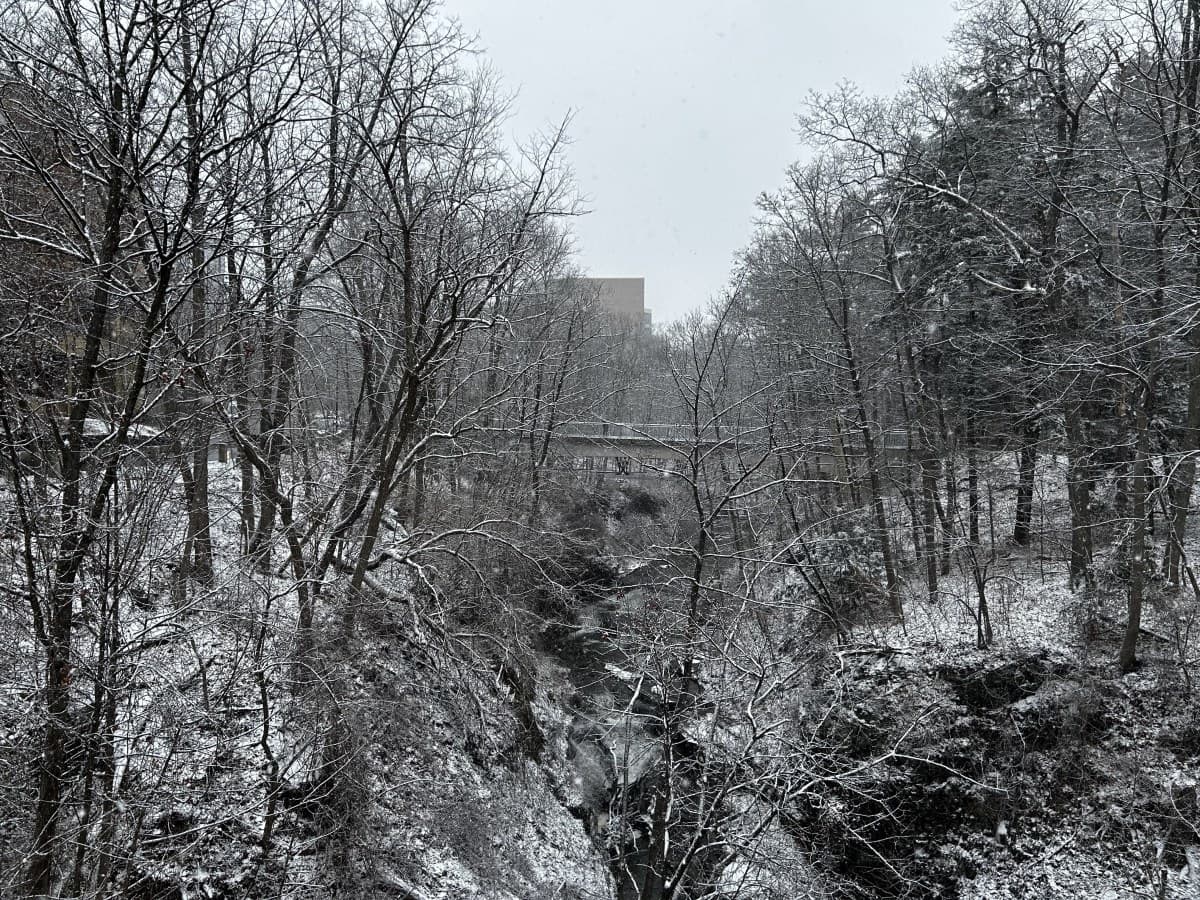 Ithaca, New York, United States